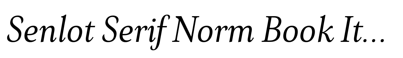 Senlot Serif Norm Book Italic